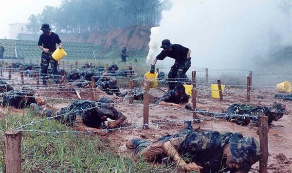 龙焱特种部队歼灭越南图片