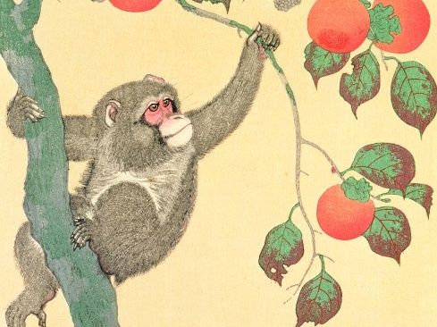 算命说:10月起转运发财的3个生肖,一富几十年