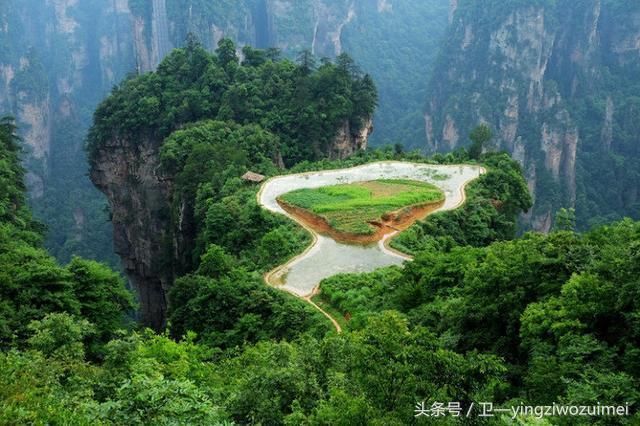 8月去哪旅游最合适?张家界森林公园有哪些精