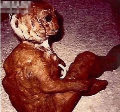 美国神秘的51区隐藏外星人, 竟然被飞行员奴役