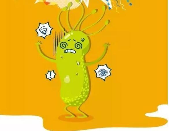 低龄儿童感染了幽门螺旋杆菌建议及时补充舒克