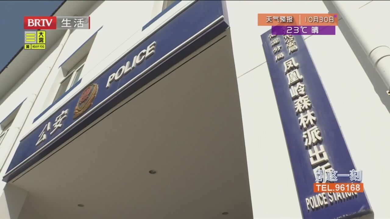 捕鸟人现场被“捕” 65只野生鸟被救