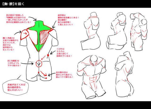 精品绘画新手如果开始学戏原画动漫人物绘画?