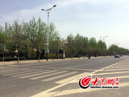 杨絮漫天飞舞惹人烦 专家:过敏人群做好防护措施