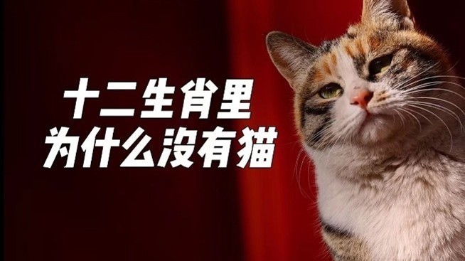 小猫咪那么可爱，为啥十二生肖中没有它？