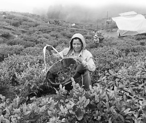 印度为何越境不走 怕中国在孟加拉帮助下对印