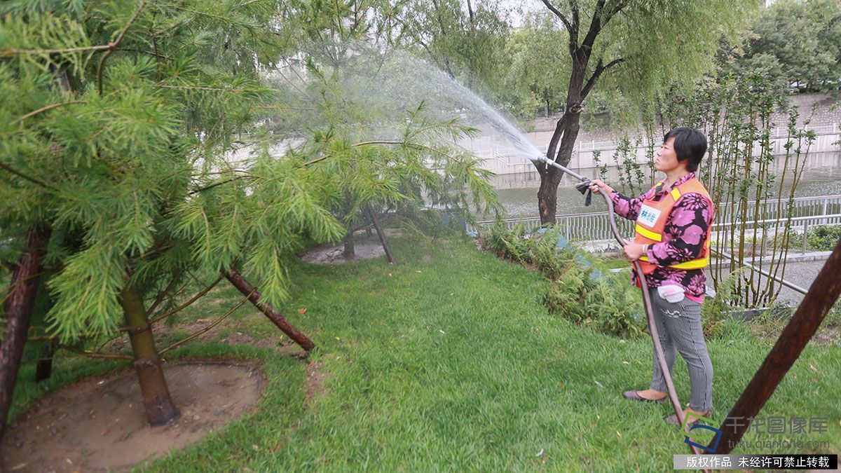 东城忠实里棚户区变身“城市森林公园” 东城忠实里棚户区变身“城市森林公园”