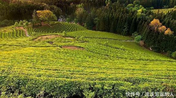 去云南旅游必去的地方,云南最值得去的7个景点