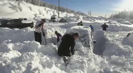 加国华人移民第三代收入低于第二代!在日华人