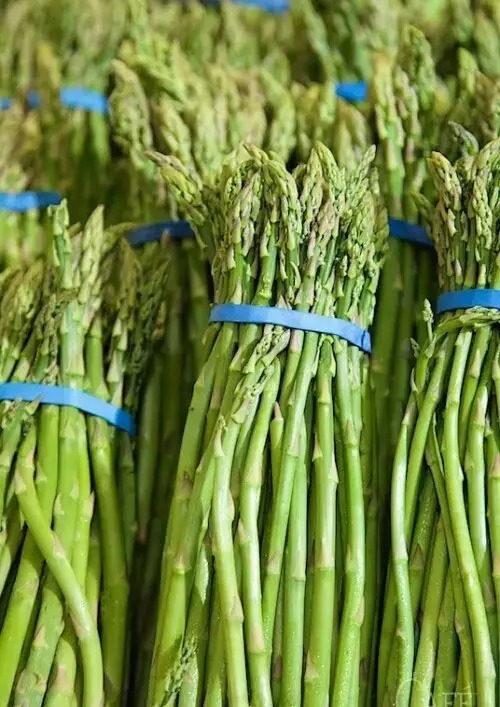 应季蔬菜 芦笋这样处理才够美味! 应季蔬菜 芦笋这样处理才够美味!