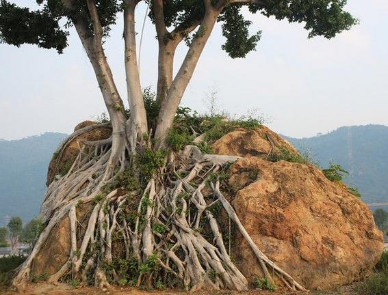 男人的福利,小弟弟可以延长了,美国壮汉又如