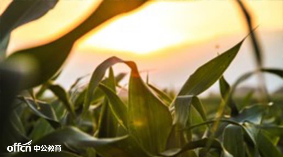 签三方协议会影响我考村官、公务员吗?