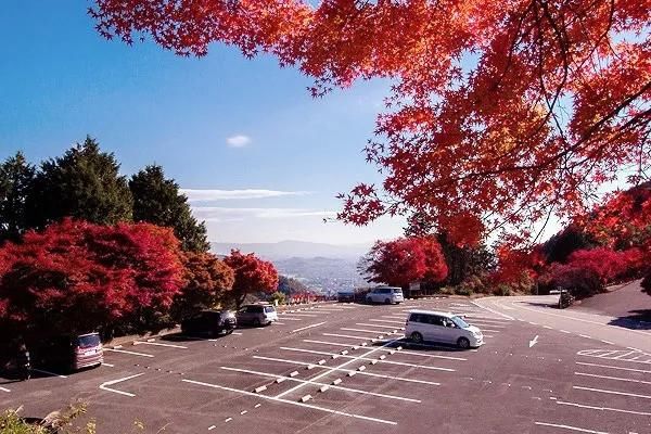 错过了日本春天的樱花、夏天的火花,就不要再