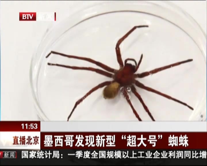 雨燕直播- NBA直播- 足球直播- 世界杯直播 LIVE从“中国制造”到“全球青睐” 一双拖鞋的环球之旅