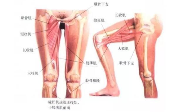 O型腿矫正 练好瑜伽就可以了