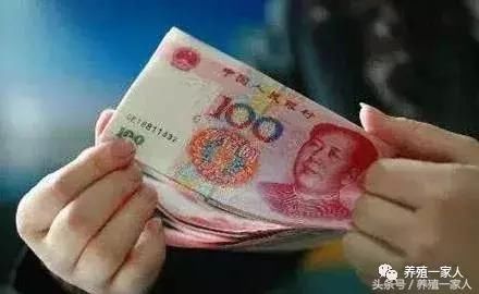 农村贷款养牛,你知道养殖的贷款政策吗?