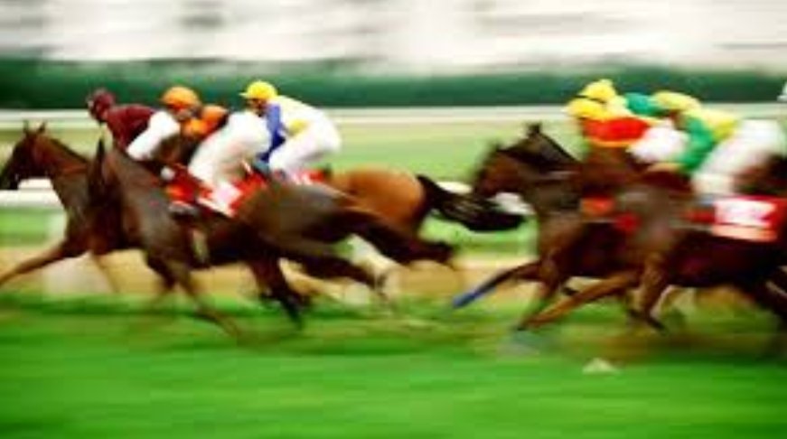 海南赛马和彩票怎么搞?责任单位已确定 细则待