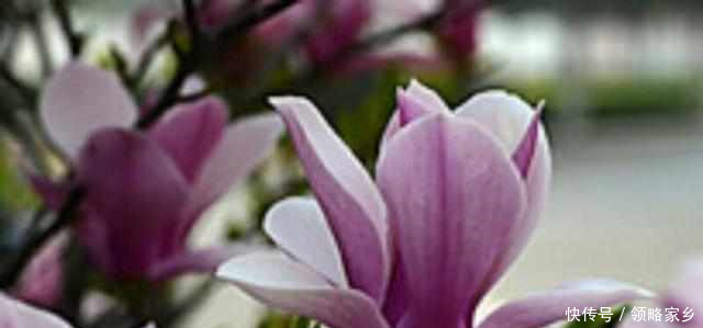 陪嫁房,男友家母亲连2万彩礼都不出,父母让我