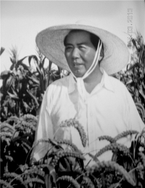 长征最后一战,毛泽东要作战,为何被彭德怀林彪