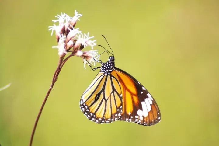 2019年值得投资的创业项目,原来赚钱的项目就