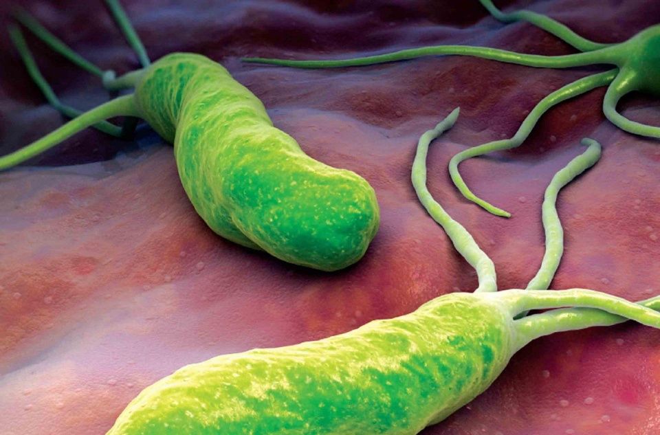 为什么会传染幽门螺旋杆菌?你很有可能吃了人
