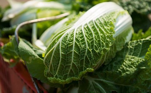 人人都爱吃的大白菜,千万不要这样吃,小心滋养癌细胞!