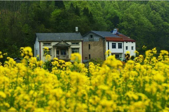 农村有房又在城里买房 算不算一户多宅?这几