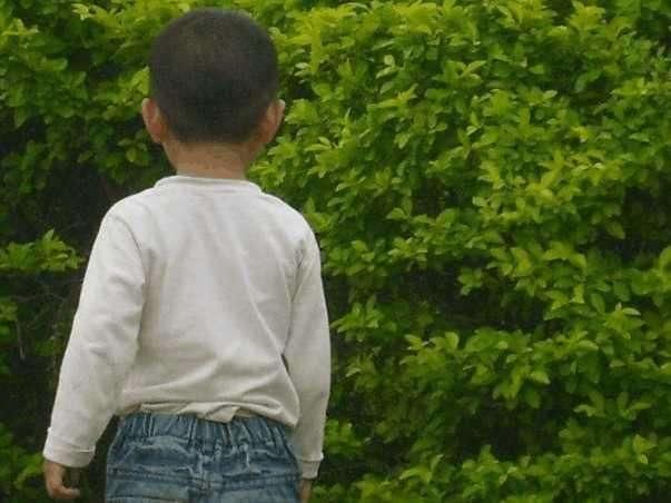 4岁宝宝出现抽搐昏迷症状被送进医院,被诊断为