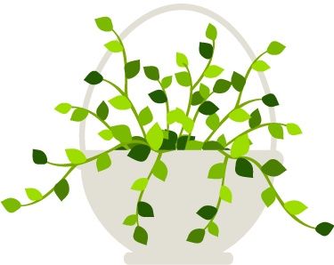 【综述】中医药干预幽门螺旋杆菌阳性慢性胃炎