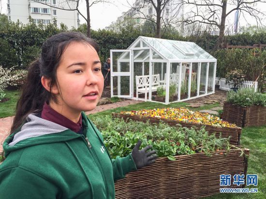 35个景点40公顷鲜花静候游客 2018上海(国际