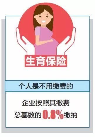 五险一金交15年,退休后每月能领多少钱?我帮您