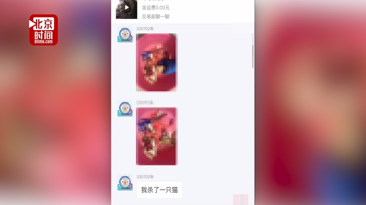 男大学生公开虐猫 自称“给我转100元,不然天天杀猫” 男大学生公开虐猫 自称“给我转100元,不然天天杀猫”