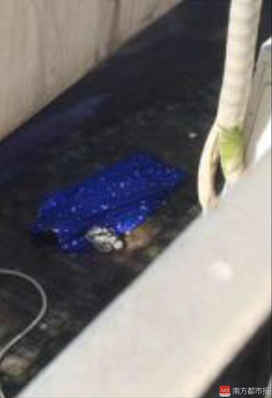 深圳大四学生坠楼身亡 有老师要求留意挂科学生 深圳大四学生坠楼身亡 有老师要求留意挂科学生