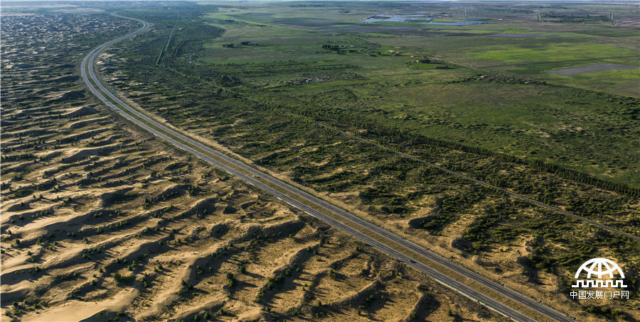 沙漠里的 沙漠里的