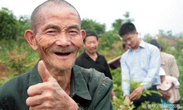 农村实施三变改革,农民变股东,专家说了好处