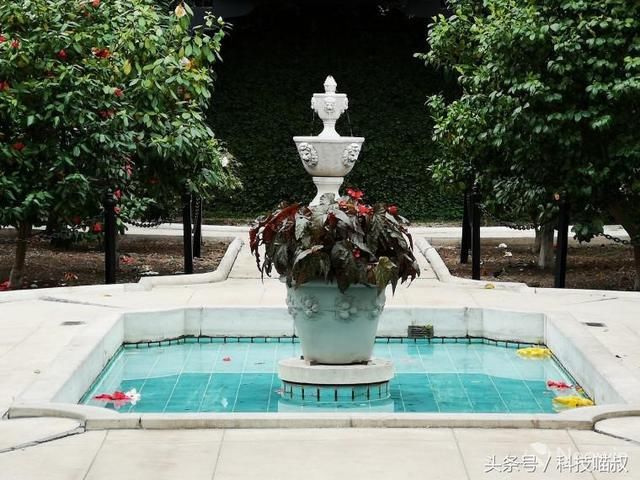 华为 P20 Pro VS诺基亚Lumia1020:穿越时空的