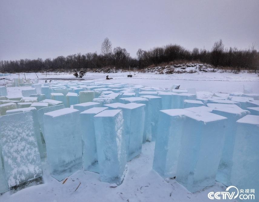 2019年12月1日，黑龙江省漠河市，冰雕建设用冰，码放在大林河边，不同于松花江江冰，这里的冰呈现明显的蓝色，蓝如海冰。