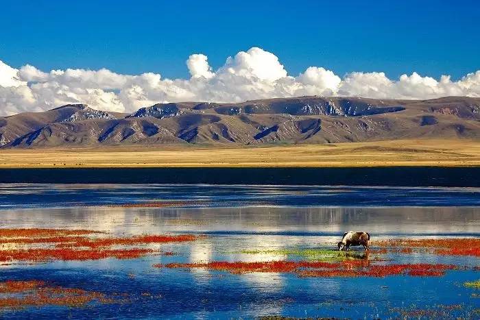 【原创】高端定制旅游市场研究报告