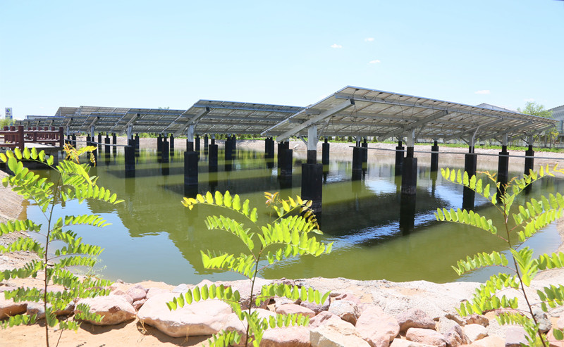 科技大棚里的光电转换