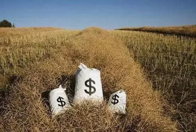 你的农村合作社为啥经营不下去?多元化运作利