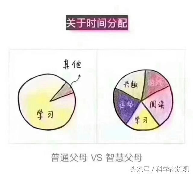 2017年12月06日 - ddmxbk - 木香关注家庭教育 2017年12月06日 - ddmxbk - 木香关注家庭教育