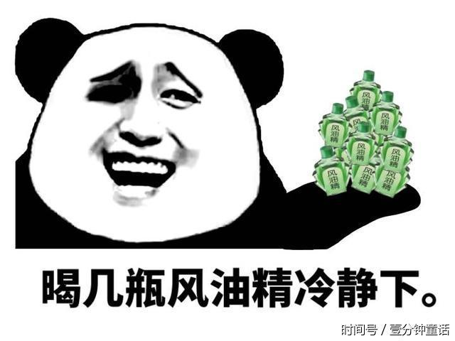 高清无水印熊猫头斗图表情包系列:没时间解释