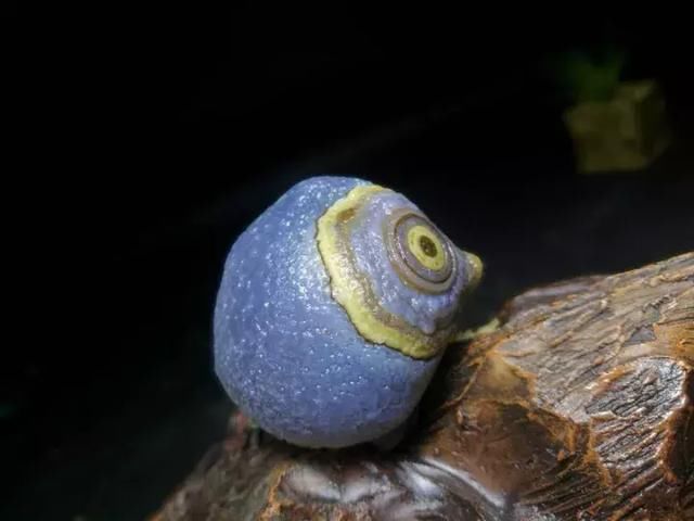 一眼万年,那些与天眼有关的句子