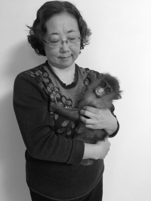 小山魈一出生就遭爸妈遗弃 动物园育幼师丁妈