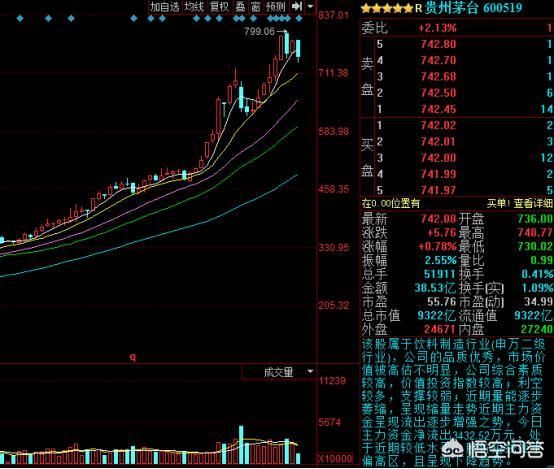京东方A杀跌原因曝光,9家机构耗资百亿合力操