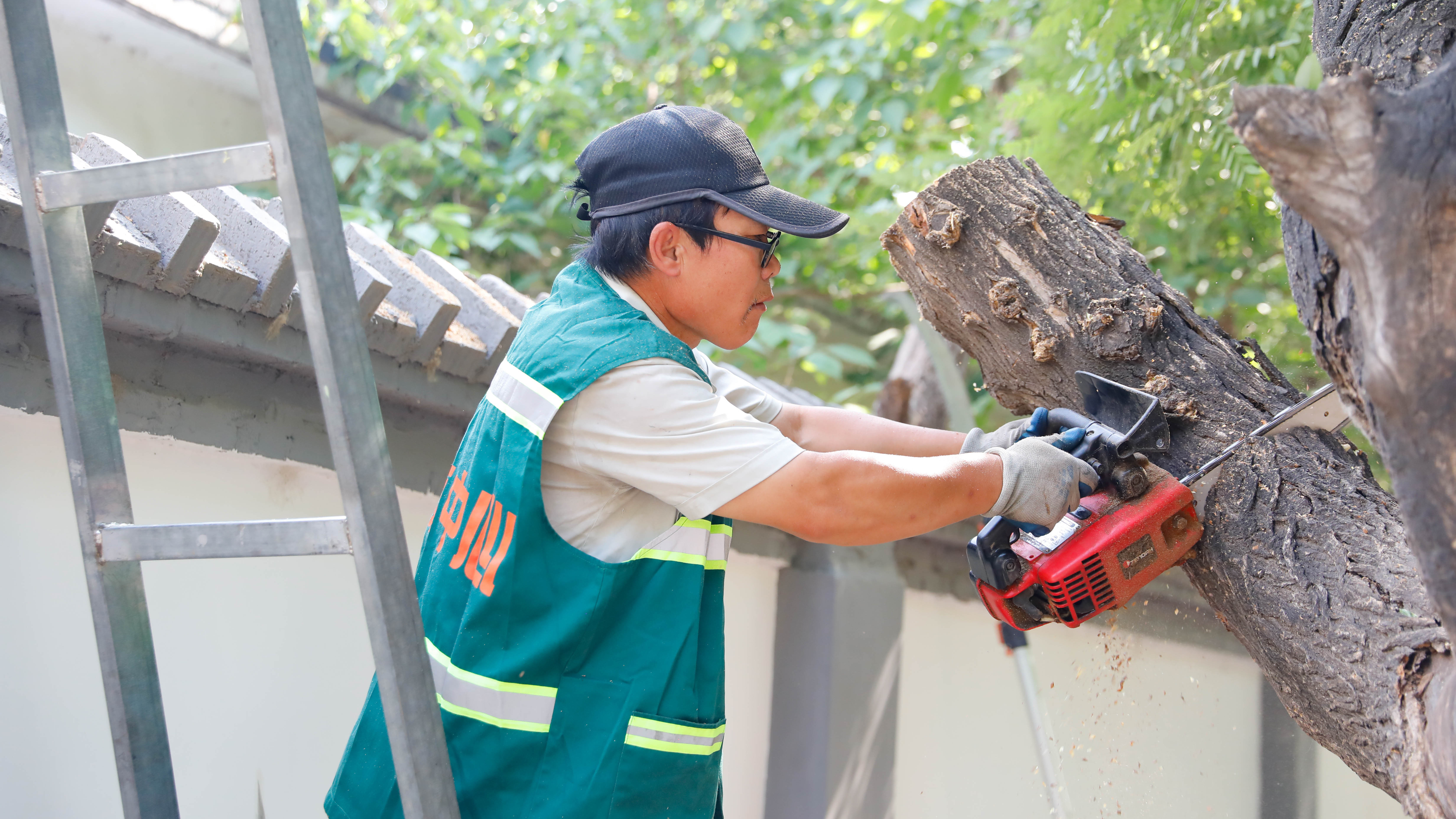 林校路街道：修剪树枝除隐患，未诉先办解民忧