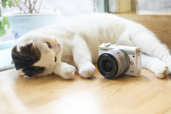 佳能微单M100 初学者的首选