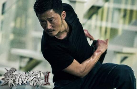 在成龙岁数过大,李连杰病痛缠身的影坛,能称得上是功夫巨星的只有吴京