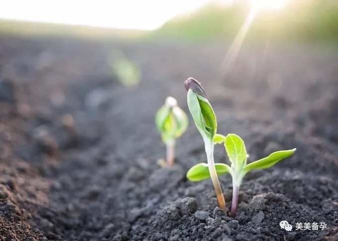 泰国试管婴儿女士术前检查有哪些?需注意些什么