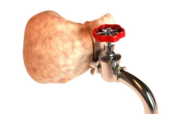 肝脏解毒吃什么5种排毒食物要常吃